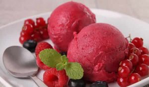 sorbet fruits rouges thermomix