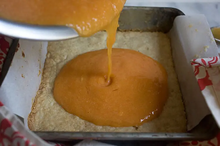 Gâteau barre à la papaye 1