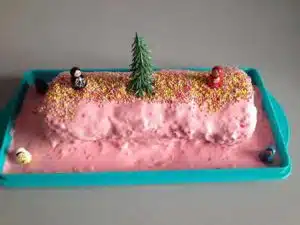 Bûche à la mousse de framboises