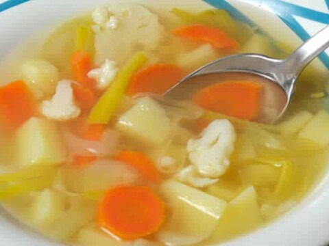 soupe de legumes varies