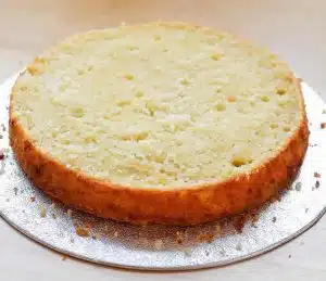 Gateau vanille au thermomix