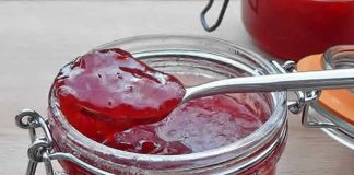 confiture fraises framboises thermomix