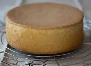 sponge cake