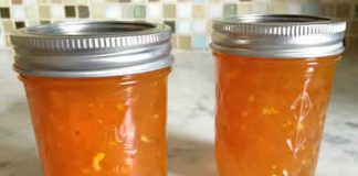 confiture orange thermomix