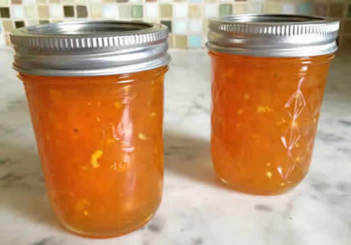 confiture orange thermomix