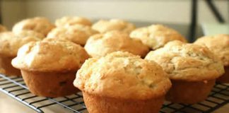 muffins nature