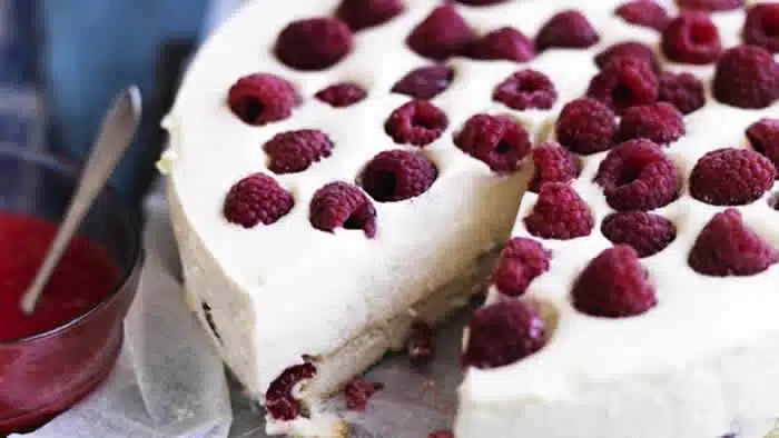 bavarois aux framboises thermomix