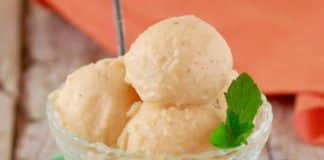 sorbet melon thermomix