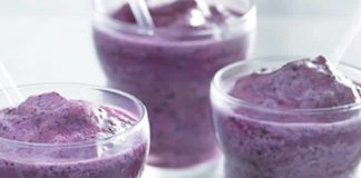 sorbet raisin thermomix