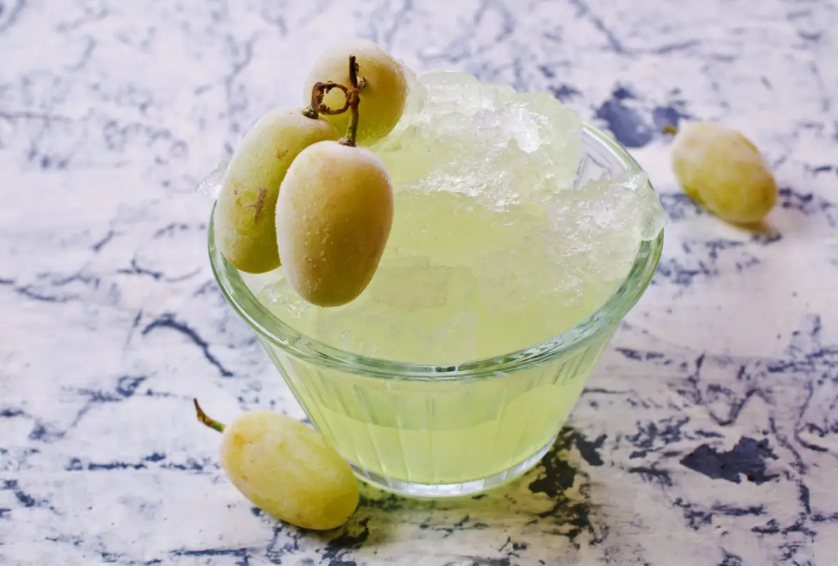 sorbet raisin thermomix