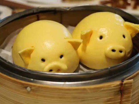 dim sum pigs thermomix