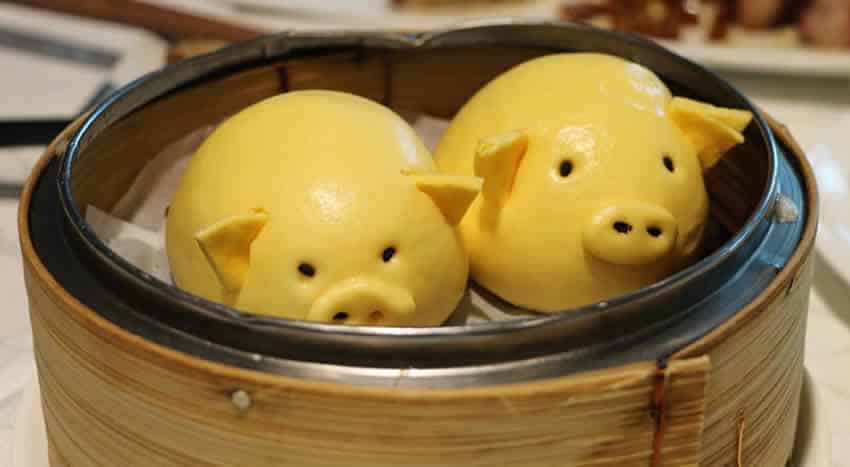 dim sum pigs thermomix