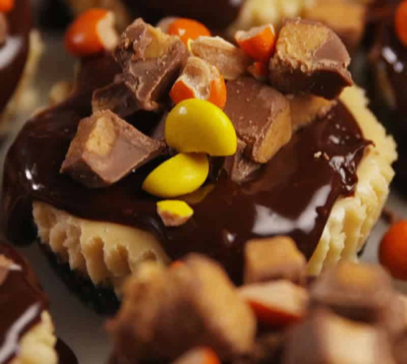 Gateaux fromage chocolat
