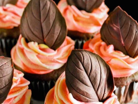 Feuilles en chocolat