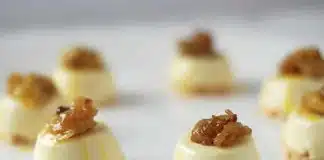 macarons à la noix de coco et panna cotta à la vanille