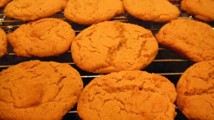 Biscuits aux noix et au gingembre au thermomix