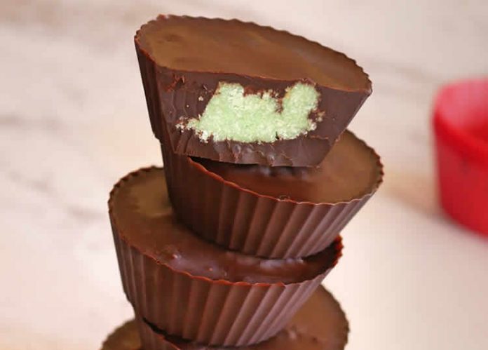 Gâteau au chocolat et noix de coco au thermomix