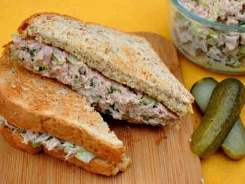 Tartinade de thon au thermomix