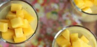 Yaourt mangue au thermomix
