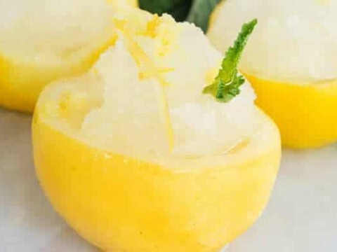 Sorbet citron au thermomix