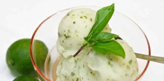 Sorbet basilic et citron au thermomix
