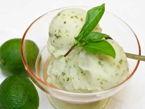 Sorbet basilic et citron au thermomix