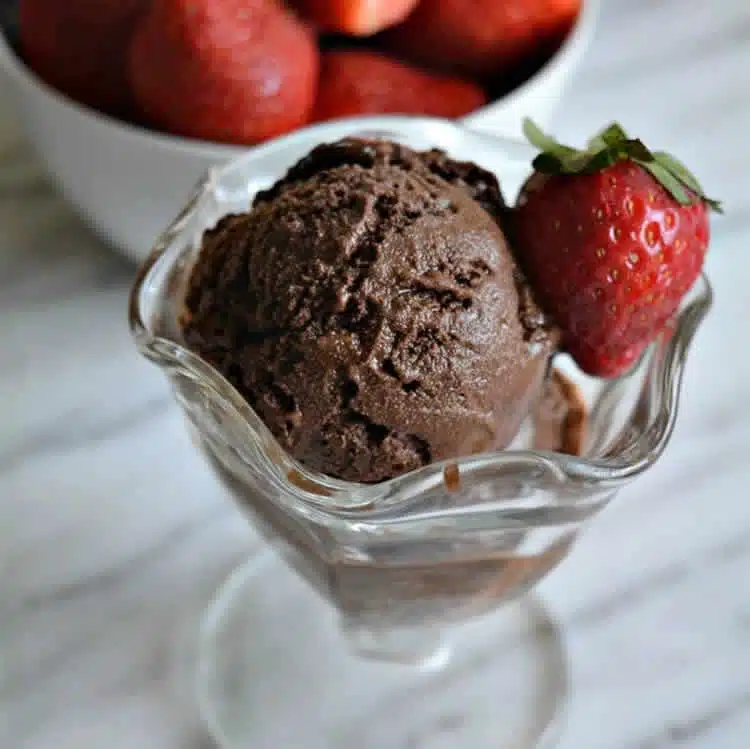 Sorbet chocolat noir avec thermomix