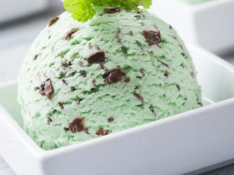 crème menthe au thermomix