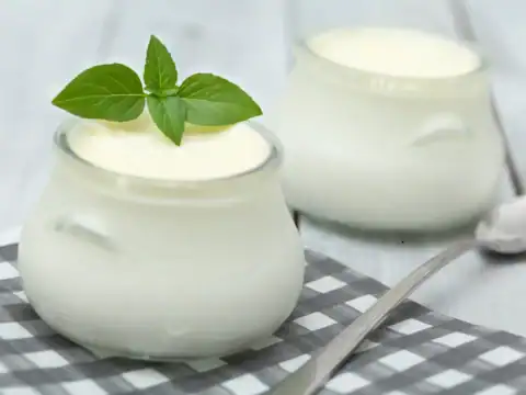 Yaourt Thermomix sans lait en poudre