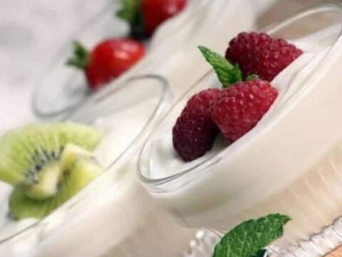 yaourt thermomix sans lait en poudre