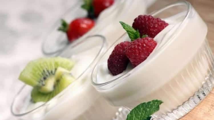 yaourt thermomix sans lait en poudre