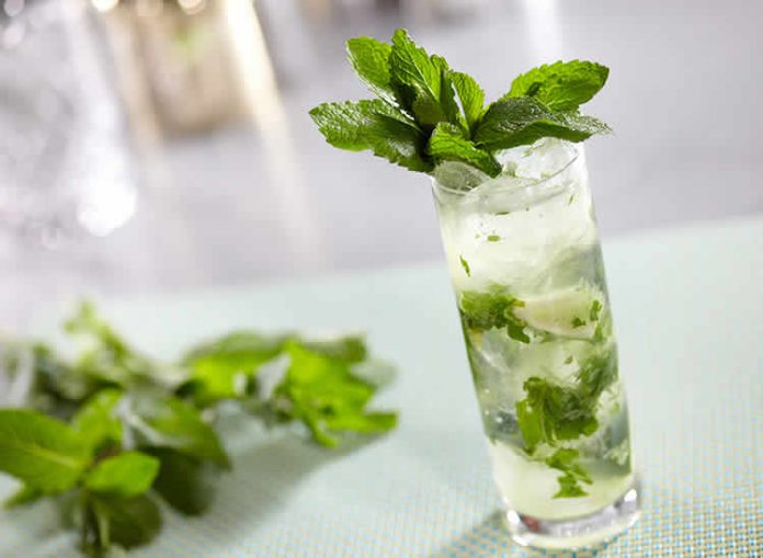 Mojito rhum citron avec thermomix