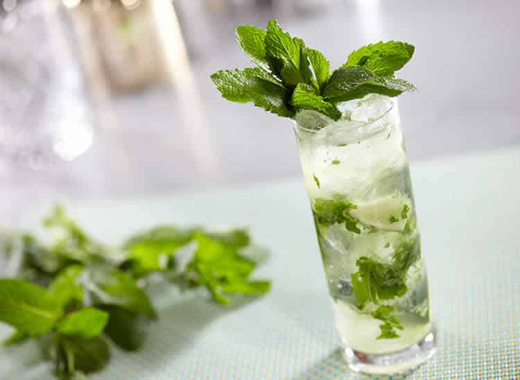 Mojito rhum citron avec thermomix