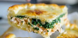 Quiche au saumon et épinards avec thermomix