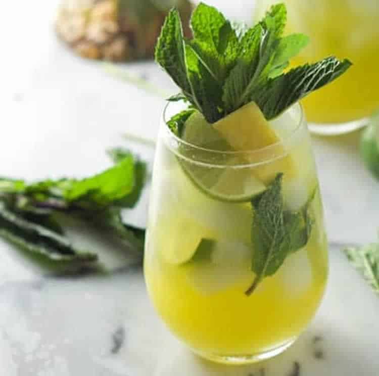 Tropic menthe avec thermomix