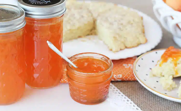 confiture abricot amande avec thermomix