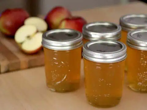 confiture de pommes au cookeo
