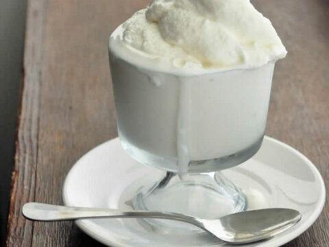 glace au yaourt avec thermomix