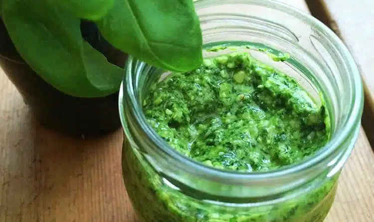 Pesto au basilic en 20 secondes avec thermomix