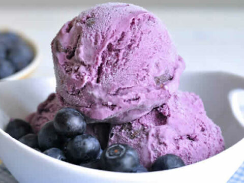 Sorbet myrtilles express au thermomix