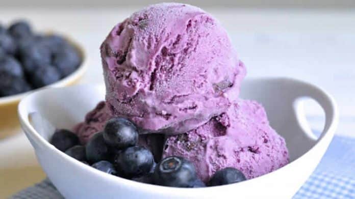Sorbet myrtilles express au thermomix