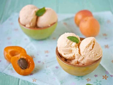 sorbet abricot sans oeuf avec thermomix