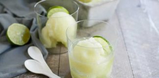 sorbet gin tonic au citron avec thermomix