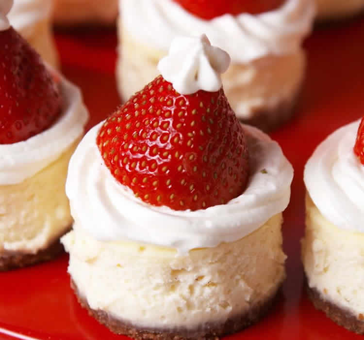 Cheesecake spéculoos de noël au thermomix