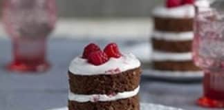 Gâteau chocolat framboises meringué au thermomix