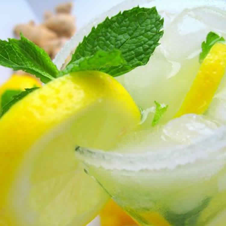 Limonade à la menthe au thermomix
