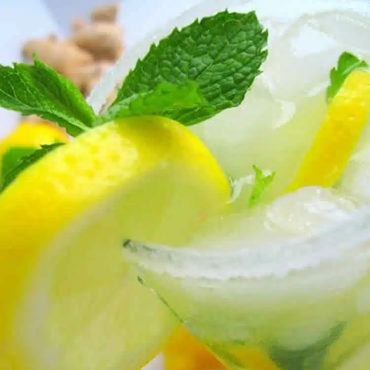 Limonade à la menthe au thermomix