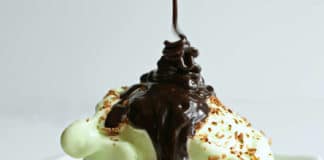 crème dessert à la menthe au thermomix