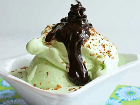 crème dessert à la menthe au thermomix