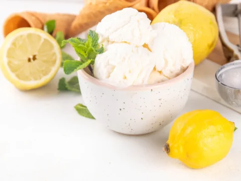 sorbet mojito au citron au thermomix